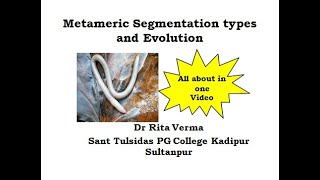 Metameric segmentation Types and Evolution [upl. by Margarette]