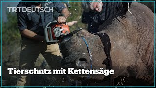 Tierschutz mit Kettensäge [upl. by Aehsat]