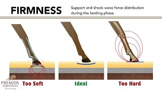 How Riding Arena Surfaces Affect Horse Biomechanics [upl. by Stillas]