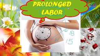 Prolonged Labour  Full Explanation in Hindi  By NG Medicals [upl. by Anilatac292]