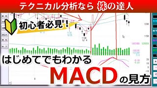 はじめてでもわかるMACDの効果的な見方【初心者必見】 [upl. by Mohn49]