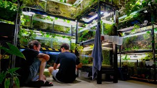 110 Aquariums and Ponds in this Home  In Depth Tour [upl. by Urba69]