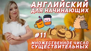 Английский для начинающих  Множественное число существительных [upl. by Juni]