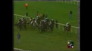 1996 AIG Europe Champion Hurdle [upl. by Adnelg860]