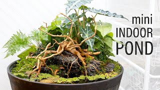 INCREDIBLE Mini Indoor DIY Pond Patio Pond [upl. by Annekcm]