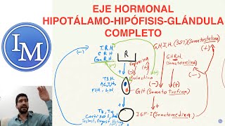 Fisiología Shahroj  Endocrinología  Eje Hipotálamo Hipófisis Glándula [upl. by Aicilehp]