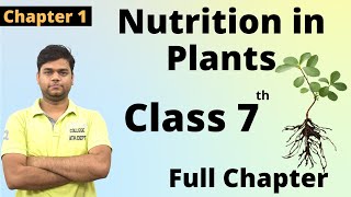 Nutrition in Plants  Class 7 science chapter 1 Full Chapter [upl. by Nomis822]