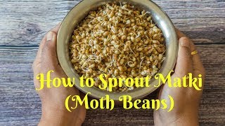 How to sprout Matki Moth Beans SproutsKalimirchbysmita Episode 248 [upl. by Notnats]