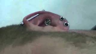 ☊ Conch Piercing Stretching ☊ Awesome but painful [upl. by Okuy649]