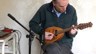 Kiso Suzuki Mandolin Demo [upl. by Bathilda]