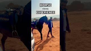 The Black Horse Riding Experience [upl. by Boutis]