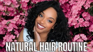 Natural Hair Routine  How I Grow my Hair  Natural Hair Products  Long Natural Hair [upl. by Alameda427]