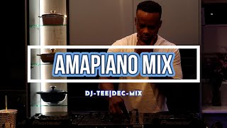 AMAPIANO  MIX DECEMBER 2024  TSHEPO TSHOLEDI [upl. by Asirak248]