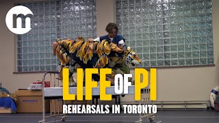 Life of Pi rehearsals [upl. by Brad]