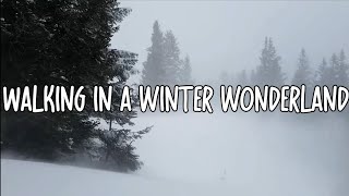 Amy Grant  Winter Wonderland Lyrics [upl. by Rabush]