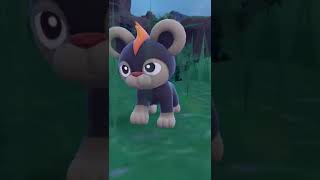 Litleo is Evolving  Pokémon Evolutions Scarlet amp Violet [upl. by Lubba]