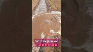 Agriculture farming rajsthan [upl. by Ssew]