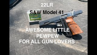 Smith amp Wesson model 41 22LR review [upl. by Amrita620]