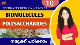 POLYSACCHARIDES  BIOMOLECULES NCERT NEET BIOLOGY CLASS XI IN MALAYALAM [upl. by Melamed]