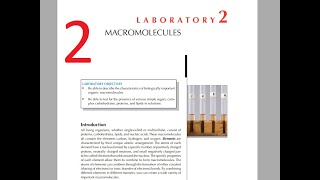 2 Lab 2 Bio 103 Macromolecules [upl. by Luci]