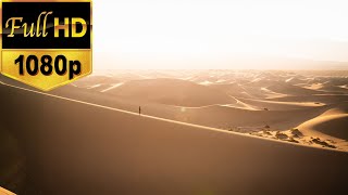 Desert Stock Footage  Free HD Video  no copyright I Sahara Desert [upl. by Sorodoeht]