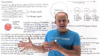 Introduction to lipoproteins [upl. by Einnij]