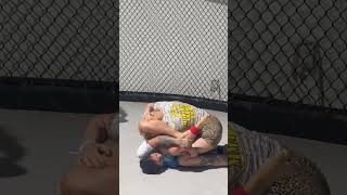 TFA PRO Jiujitsu match in a cage [upl. by Lodhia670]