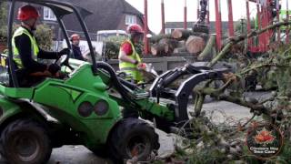 So you want to be a tree surgeon A day in the life of an arborist [upl. by Accber44]