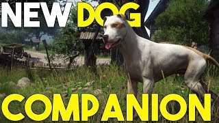 WHERE TO FIND DOG COMPANION  Kingdom Come Deliverance [upl. by Essyle655]