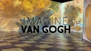 Imagine Van Gogh in Boston [upl. by Leal765]