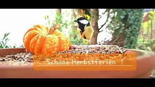 Schöne Herbstferien [upl. by Guillermo]