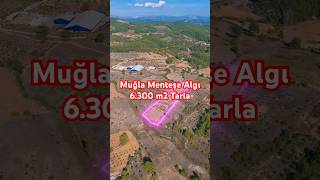 Muğla Menteşe Algı 6300 m2 Tarla [upl. by Cchaddie]