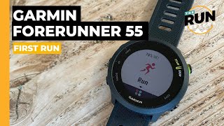 Garmin Forerunner 55 First Run Review The best budget running watch [upl. by Ecnedurp699]