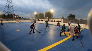 Avalanche Vs Sharks GoPro Hockey 5 [upl. by Cowey805]