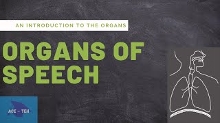 Organs of Speech  An Introduction to the Organs  Speech Mechanism  Phonetics  HSA PSC Exam [upl. by Oel]