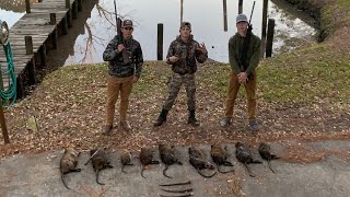 Nutria Rat Hunting in the marsh RATS EVERYWHERE [upl. by Liba]