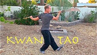 Top 10 Kwan Tao Techniques  Guan Dao Kung Fu [upl. by Anrehs]