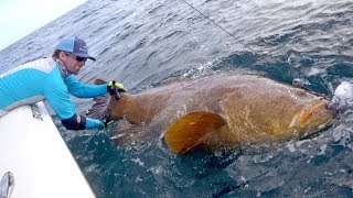 Giant Grouper Handline Fishing Challenge  4K [upl. by Asim761]