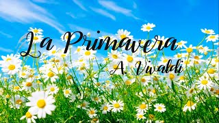 La Primavera  A Vivaldi  MUSICOGRAMA [upl. by Nnoved848]