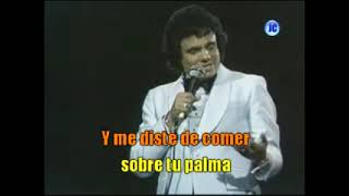 José José  Gavilán o paloma Karaoke [upl. by Chiang]