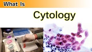 What is Cytology   Clear amp Complete Overview [upl. by Elrod]