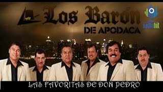 Favoritas de Los Baron de Apodaca Exitos Inmortales [upl. by Eenot]