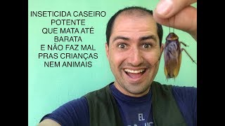 INSETICIDA CASEIRO POTENTE QUE MATA ATÉ BARATA  POTENT HOME INSECTICIDE THAT KILLS EVEN CHEAP [upl. by Adriell]