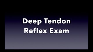 Deep Tendon Reflex Examination [upl. by Dorrahs]