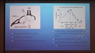 Photoperiodism in Birds [upl. by Leandra]