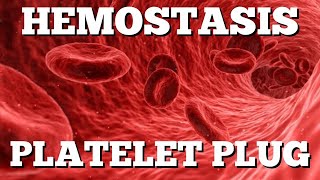 Primary Hemostasis Platelet Plug Formation StepbyStep Animation [upl. by Mose33]