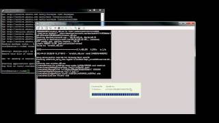 Installing IW4M Dedicated Server Linux [upl. by Nekal513]