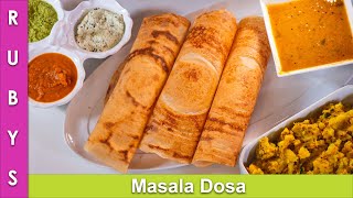 Masala Dosa amp Aloo ki Sabzi amp Batter Recipe in Urdu Hindi  RKK [upl. by Steele]