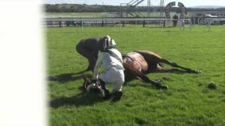 Racing horse death by accident in Galway [upl. by Ecnirp]