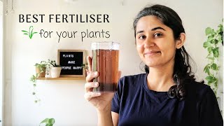 Best Fertiliser for Plants at Home [upl. by Bromley]